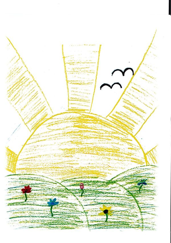 All Note Cards - Pack of 7 - Image 7